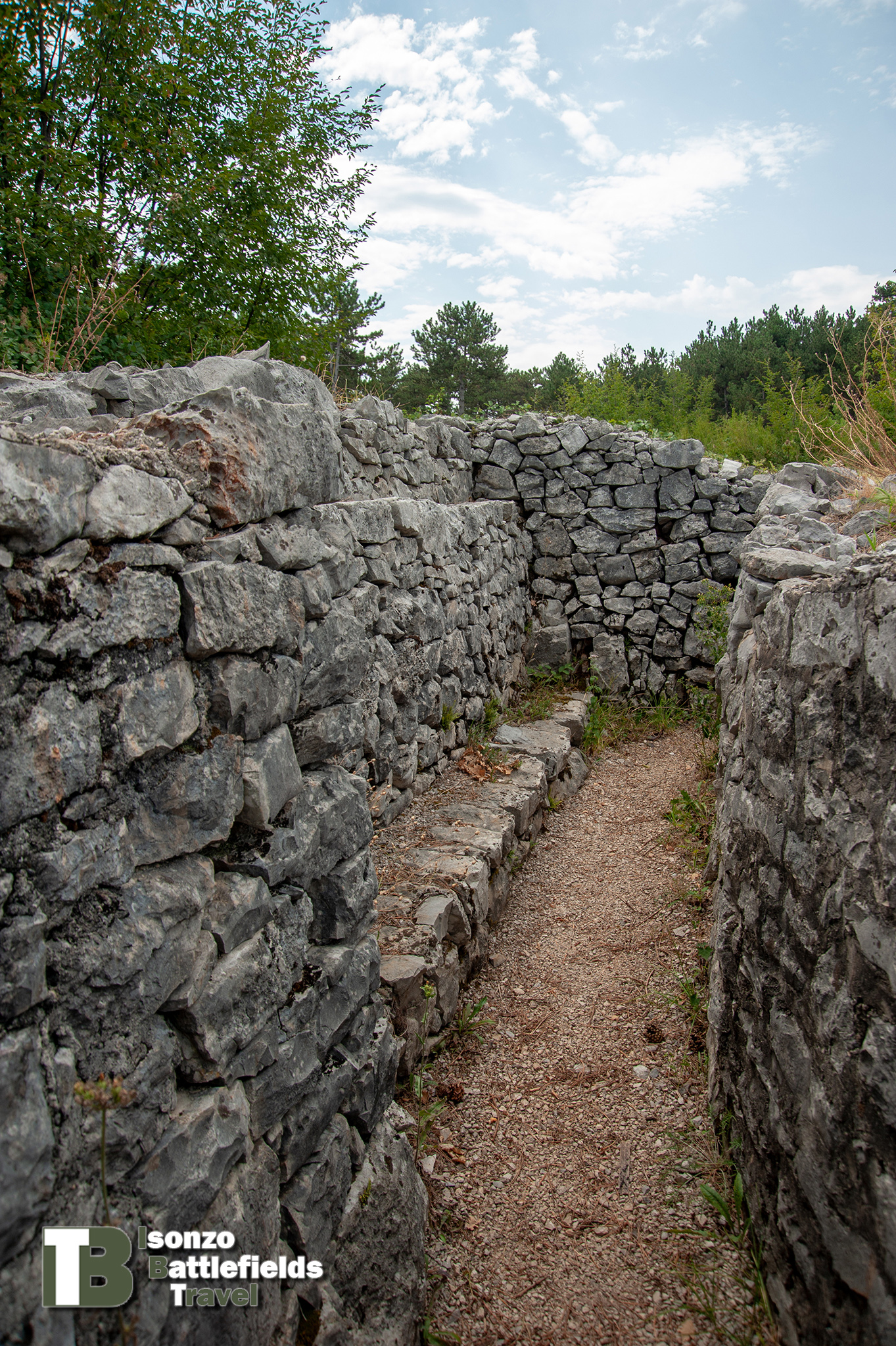 Brestovec-3