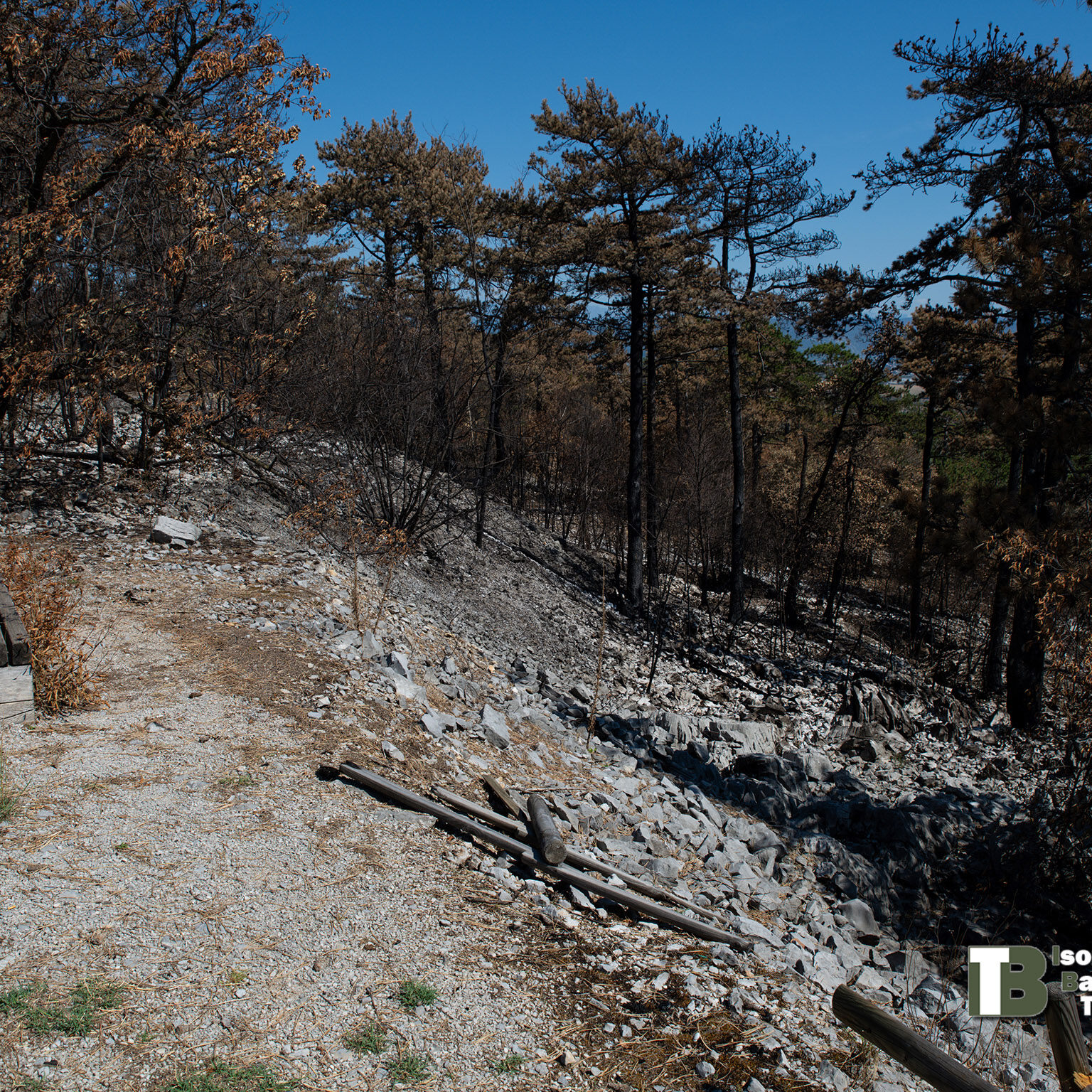 Brestovec20220814-20