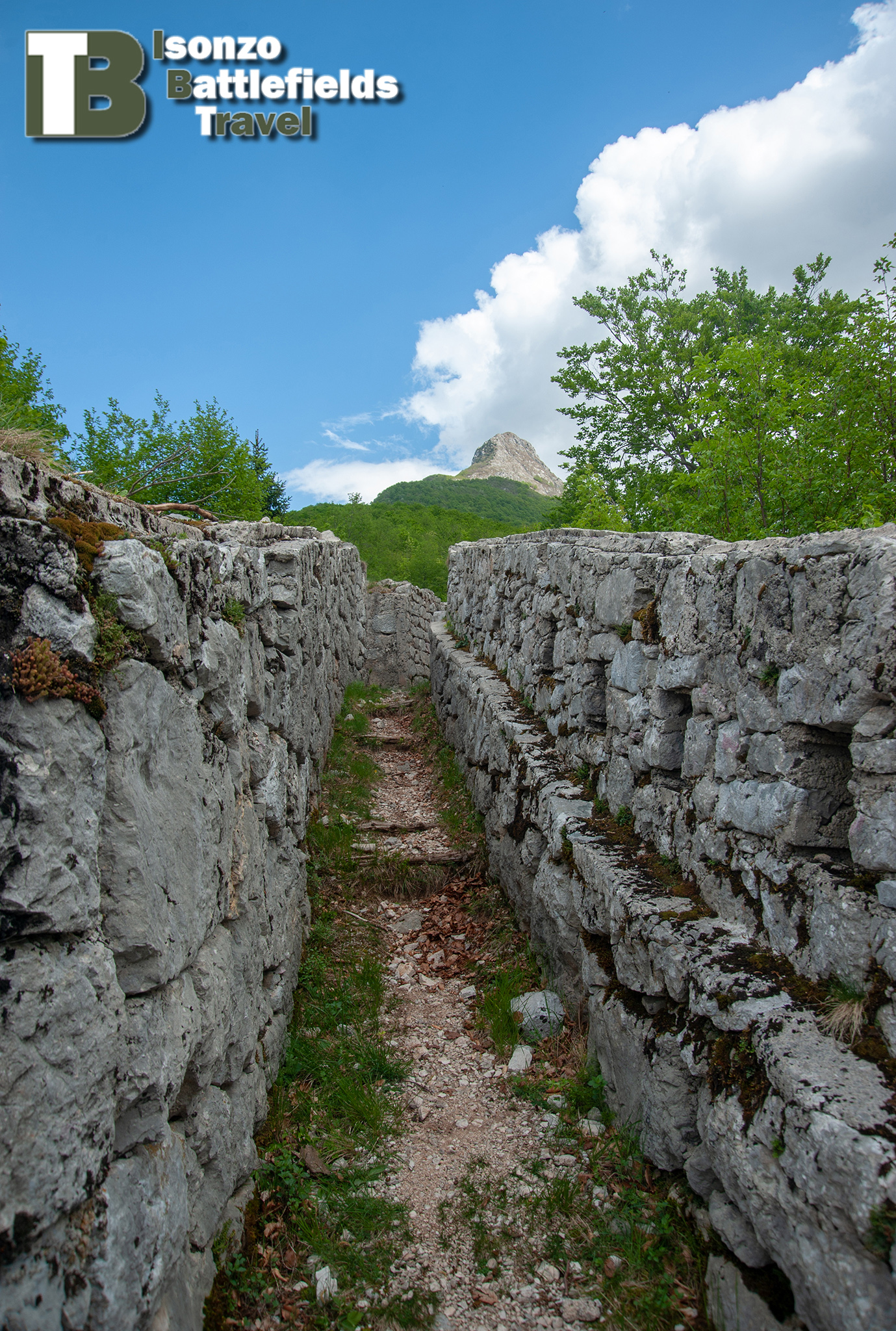 IBT_201805-11