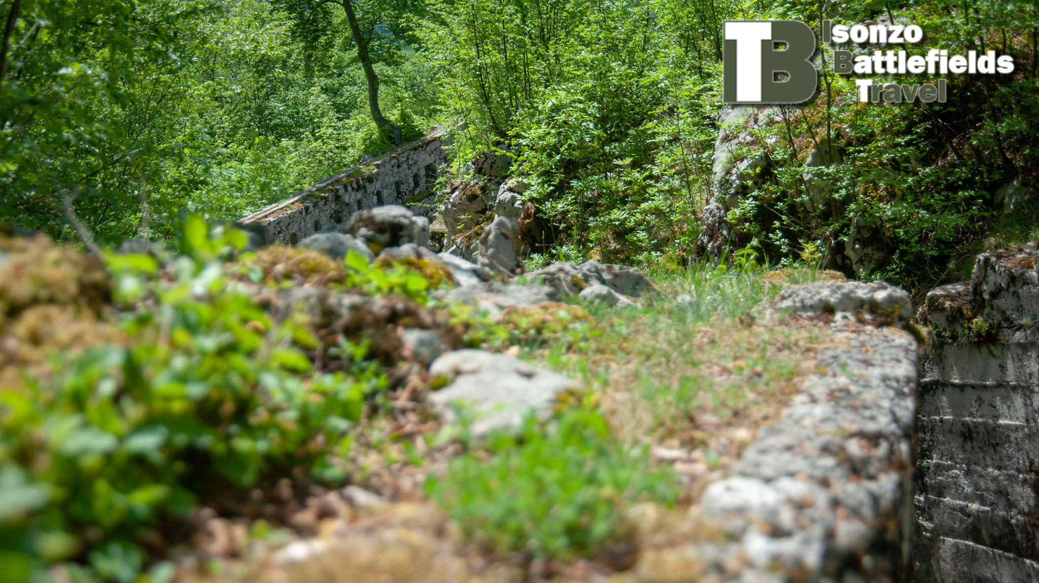 IBT_201805-17