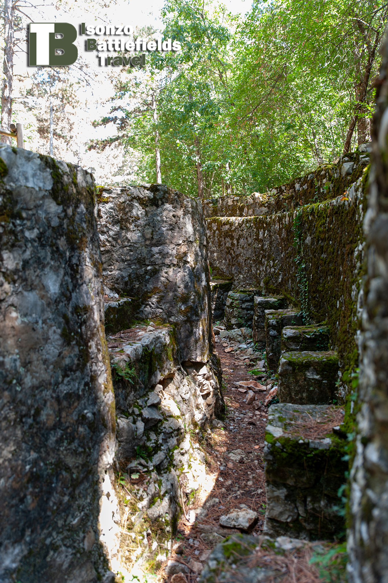 ParcoTematico-5