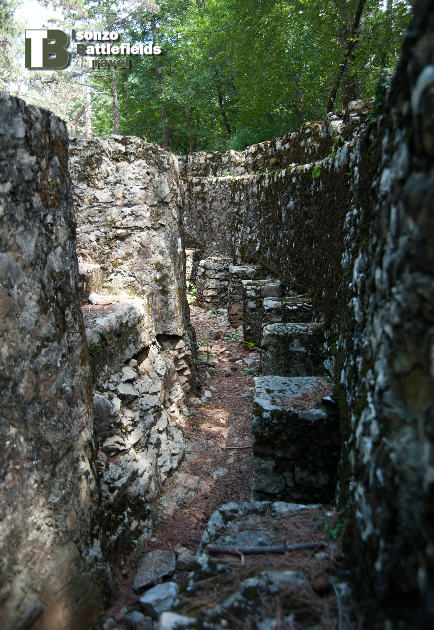 Parco_Tematico-1