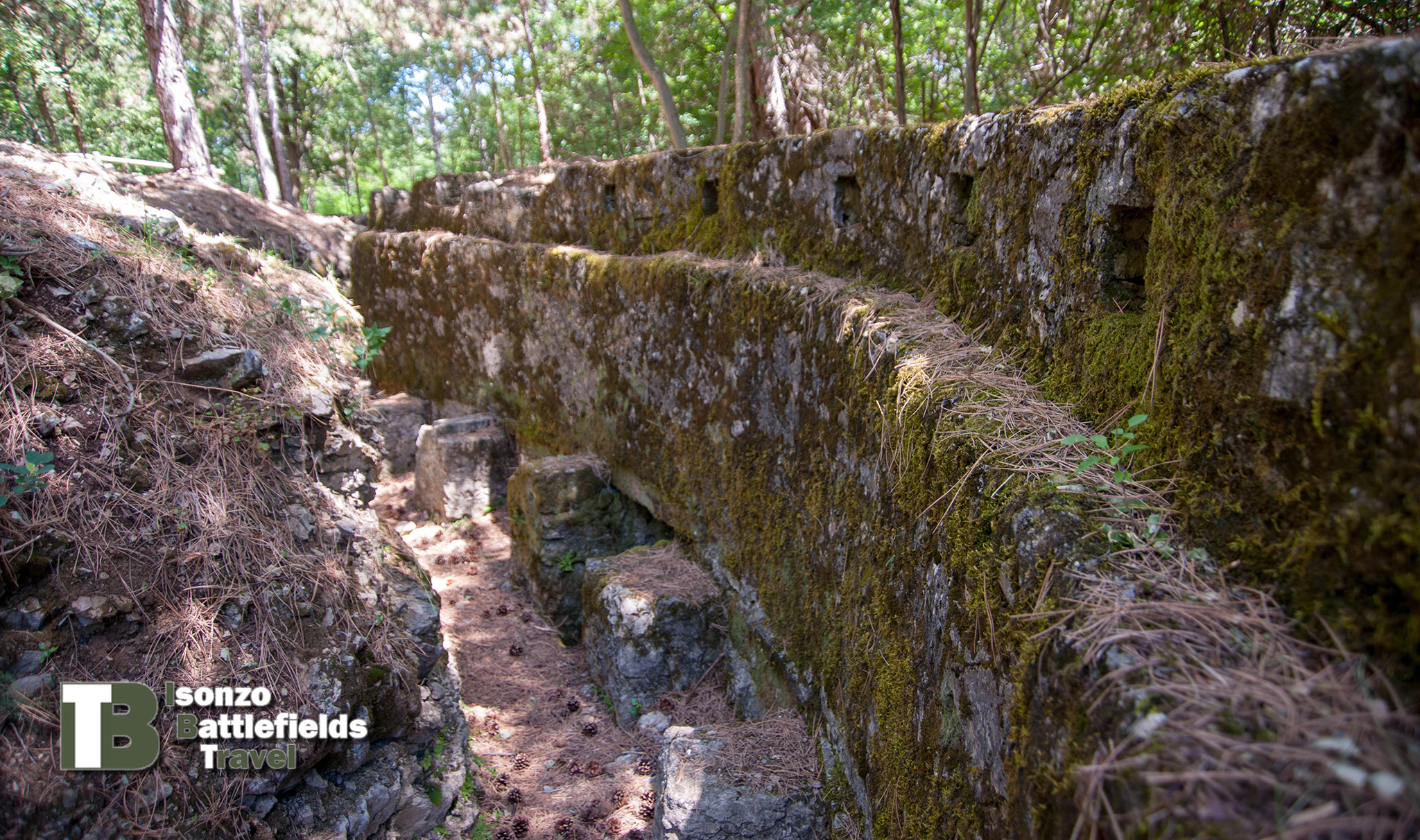 Parco_Tematico-3