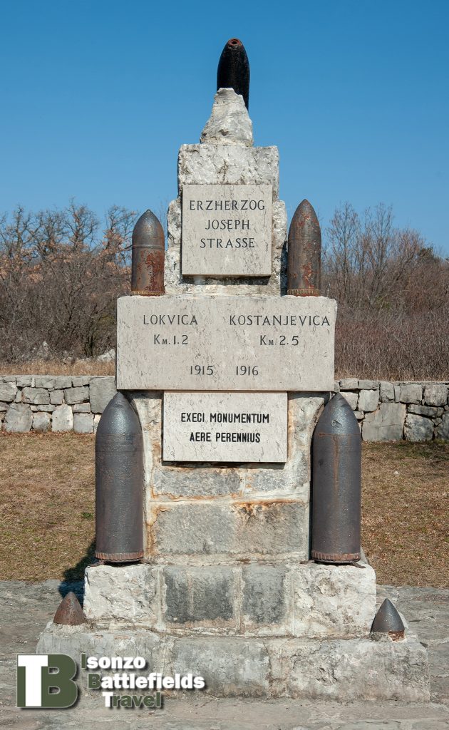 Borojevic-1