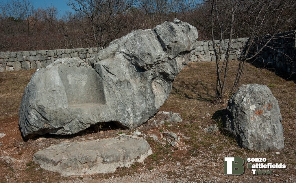 Borojevic-3
