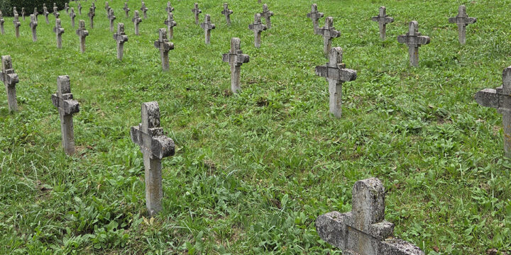 Austro-Hungarian Military Cemetery, Oševljek