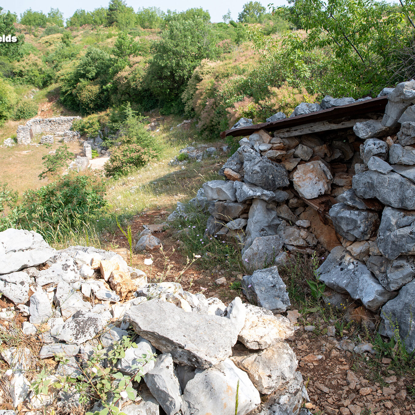 Dolina500-12