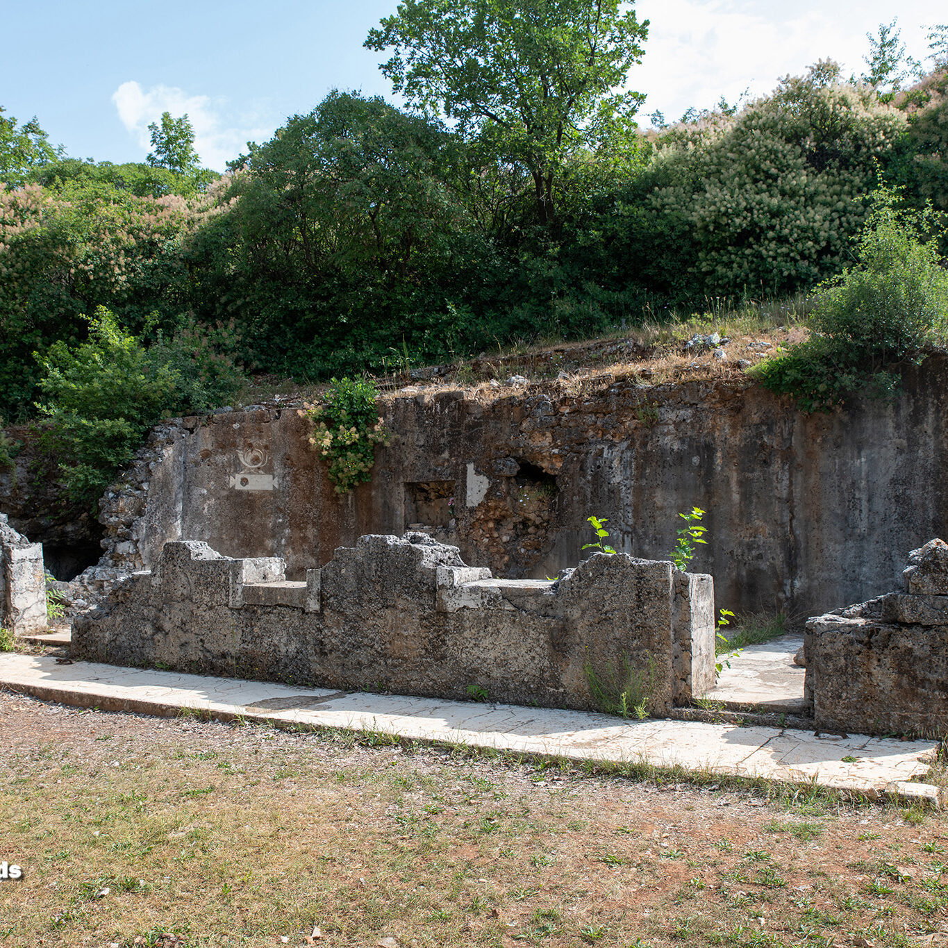 Dolina500-19